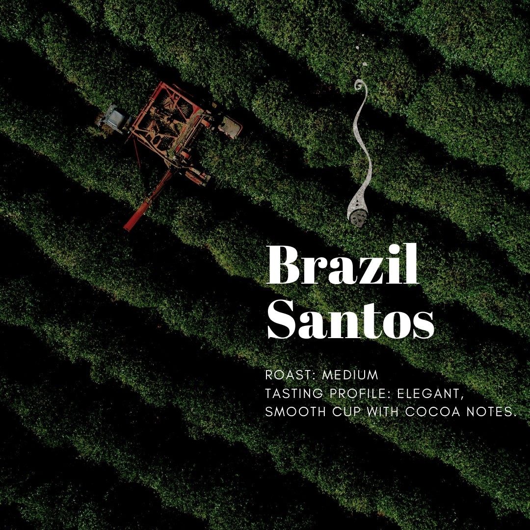 Brazil Santos