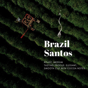 Brazil Santos